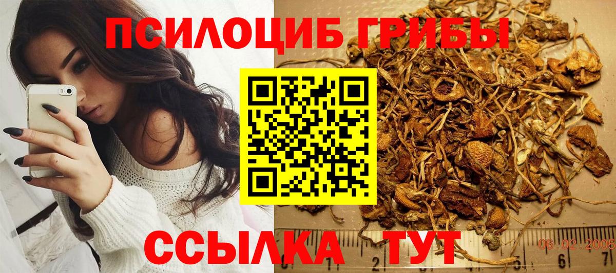 Новоалександровск  Галлюциногенные грибы Cubensis  Вход с VPN  Галлюциногенные грибы Magic Shrooms 